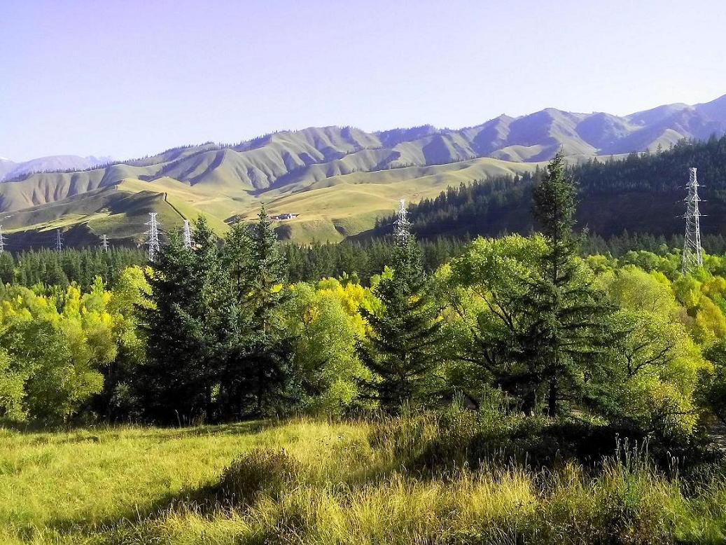 ���� IMG_20140919_090905.jpg