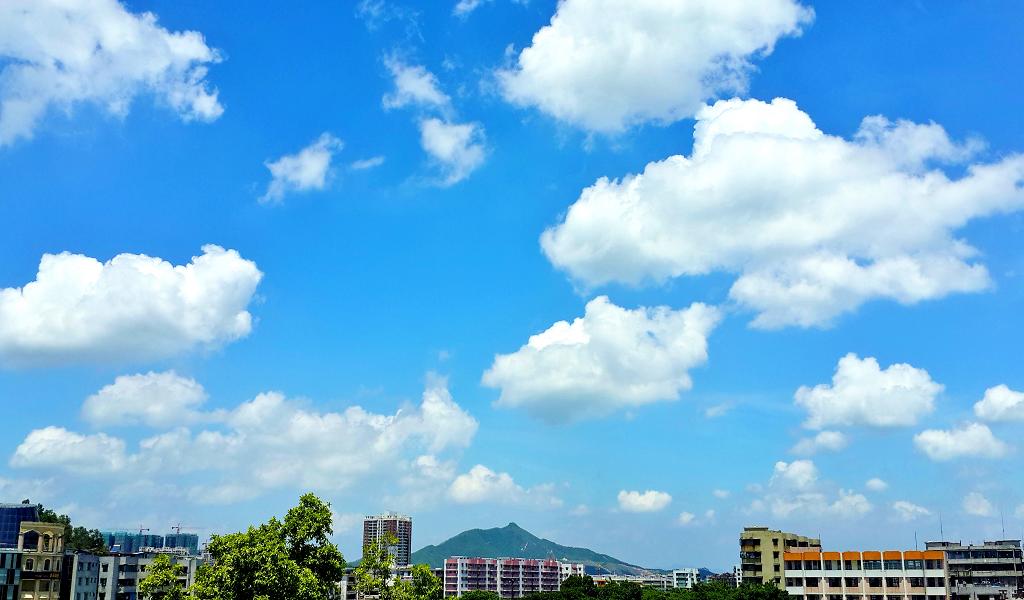 20140902_120230.jpg