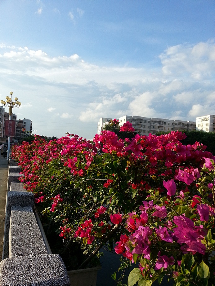 20140827_070813.jpg