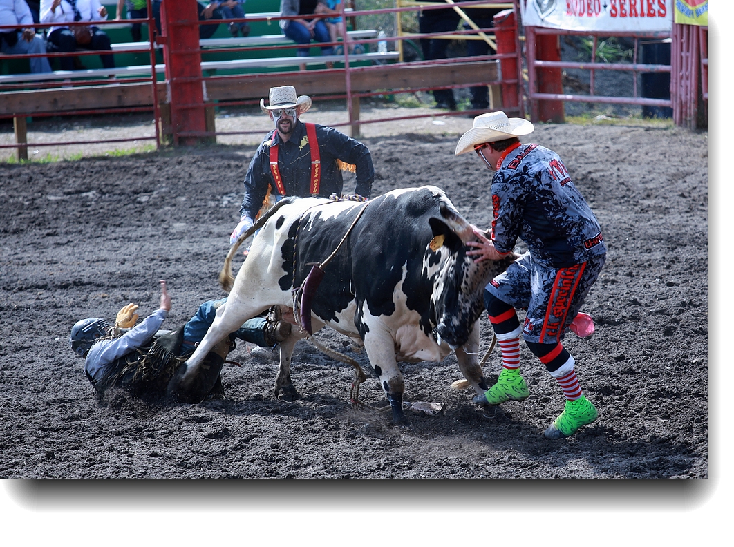IMG_0775a.jpg