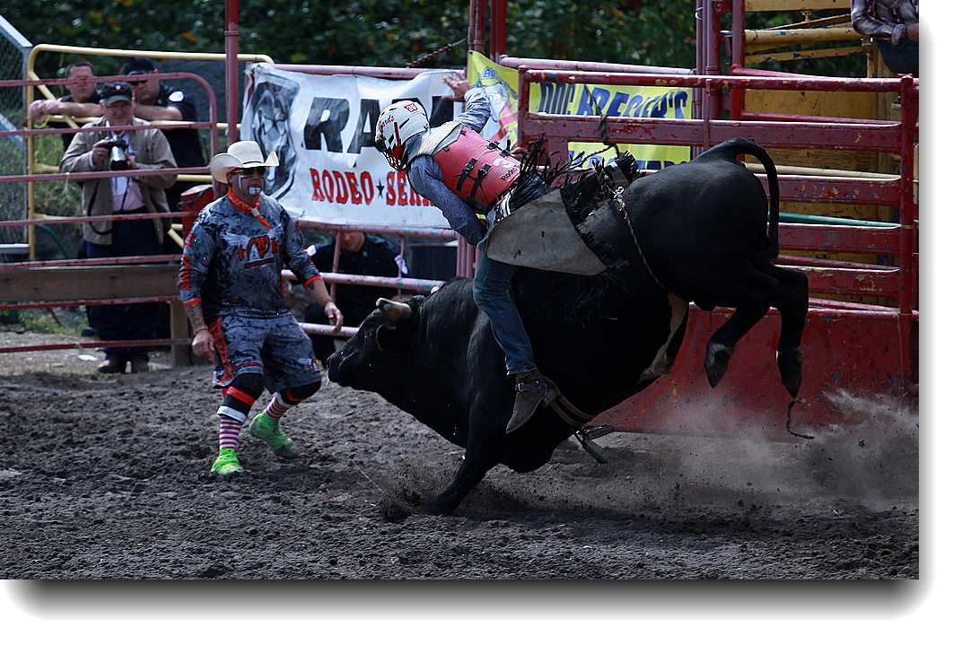 IMG_0855a.jpg