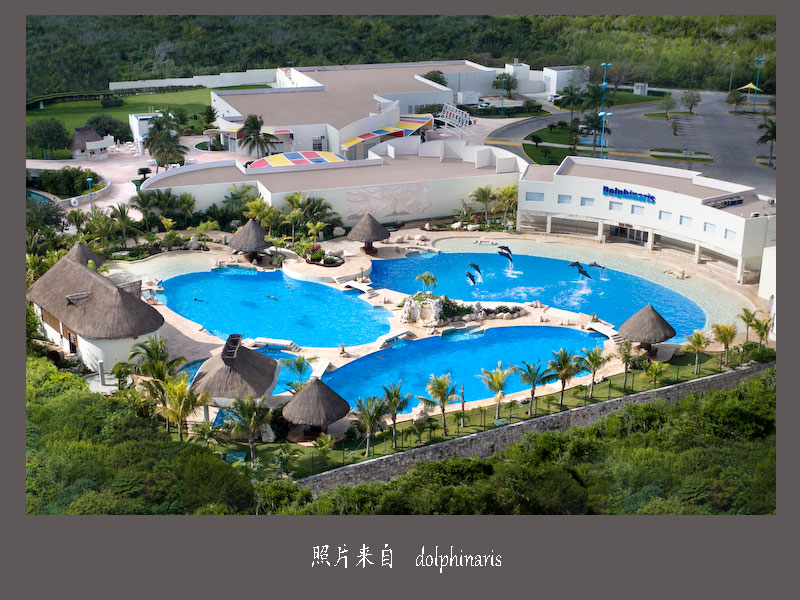 Dolphinaris-Cancun-14=.jpg