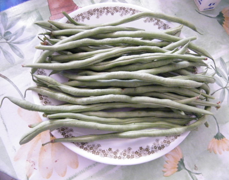DSCF8554.JPG