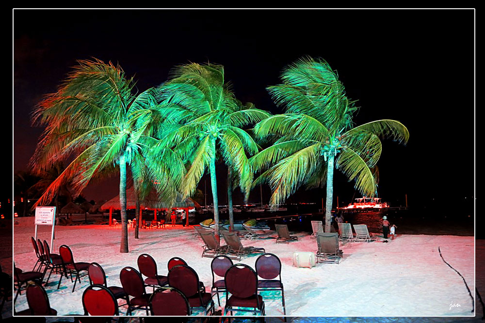 IMG_4559=.jpg