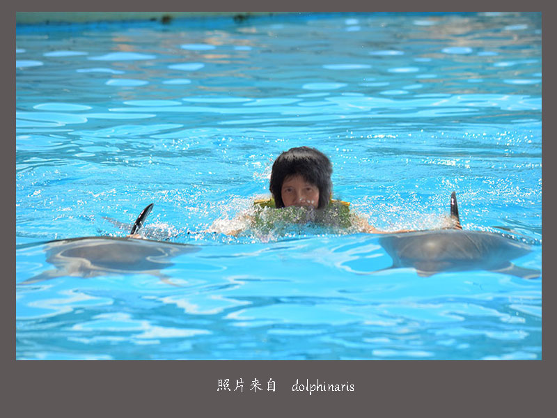 DSC_0222a-.jpg