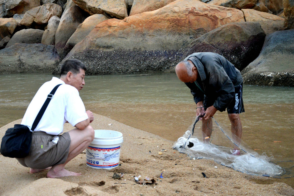 ������ 141.JPG