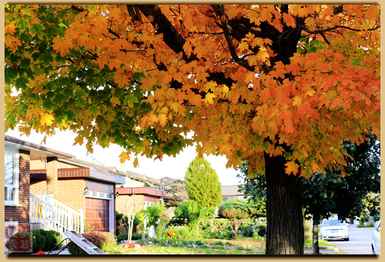 20141005 098_.jpg