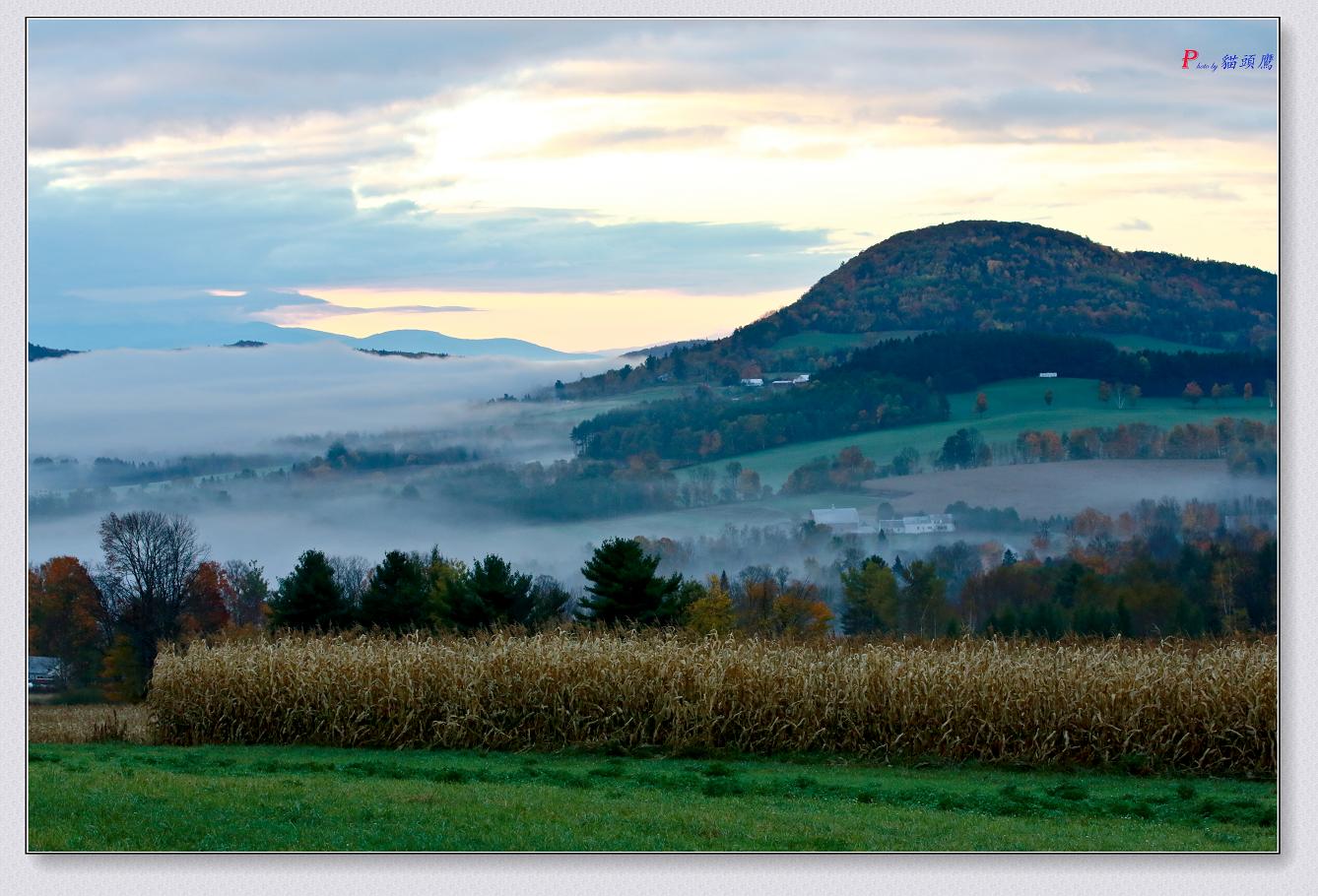 �}�u -10-11-2014�ﾰ-4 524-3.jpg