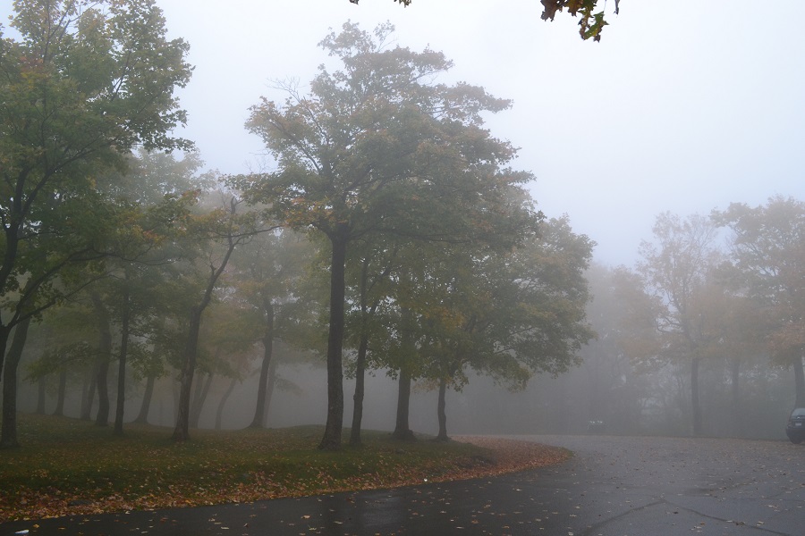 DSC_0115.JPG