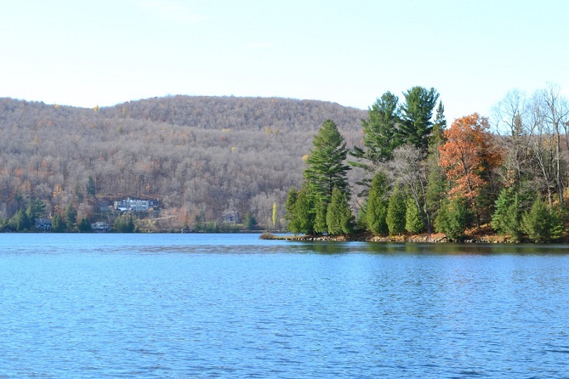 DSC_0319.JPG