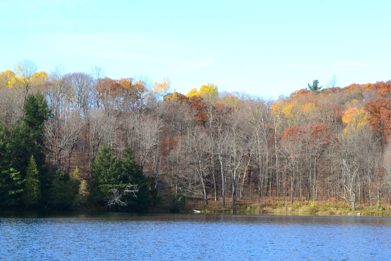 DSC_0318.JPG