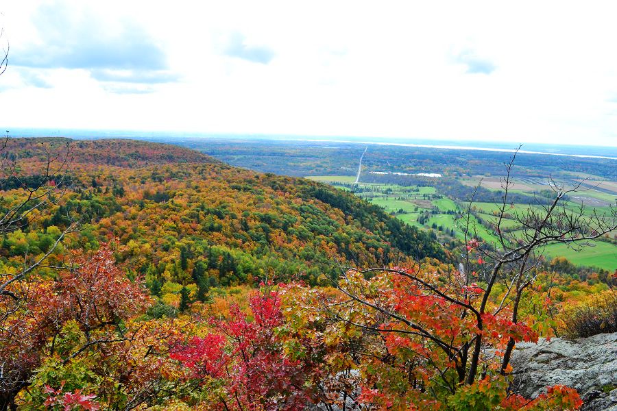 DSC_0101.JPG.jpg