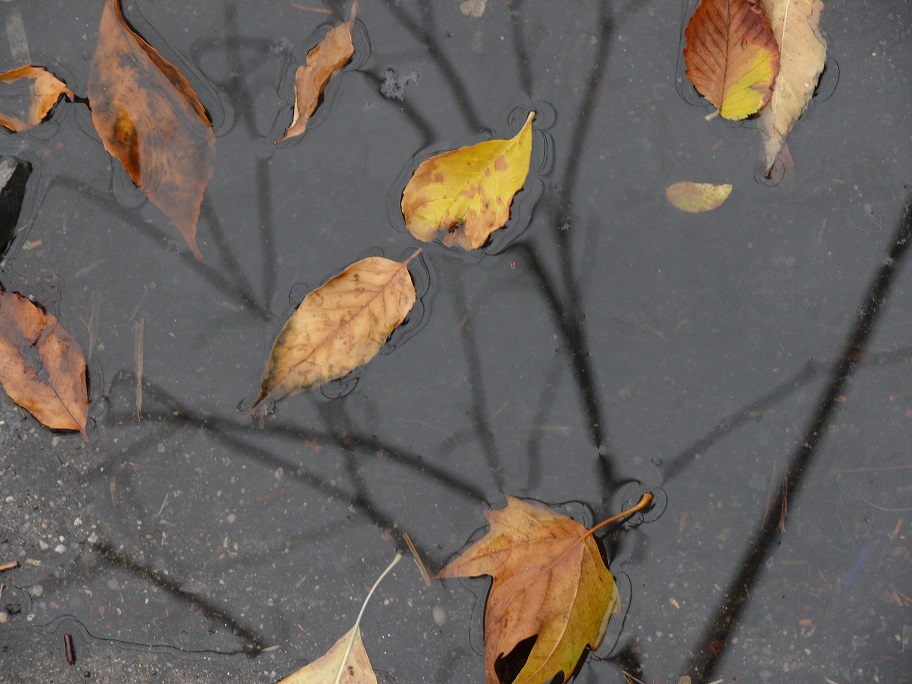 L1680031.JPG
