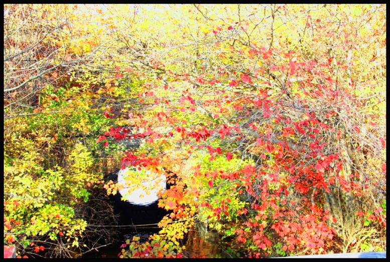 2014_10_2982057-52 - Copy.jpg