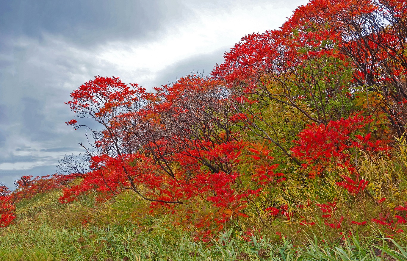 DSC05125 F.jpg