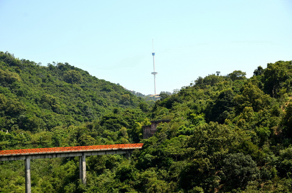 DSC_8694.jpg