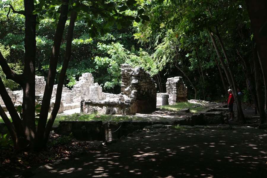 IMG_4802=.jpg