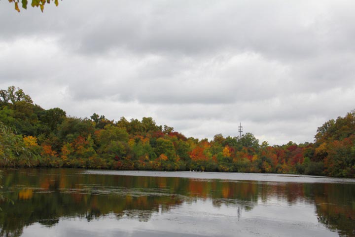 Mill Neck, Long Island