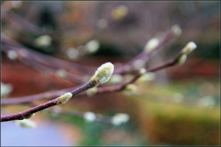 IMG_6783.jpg