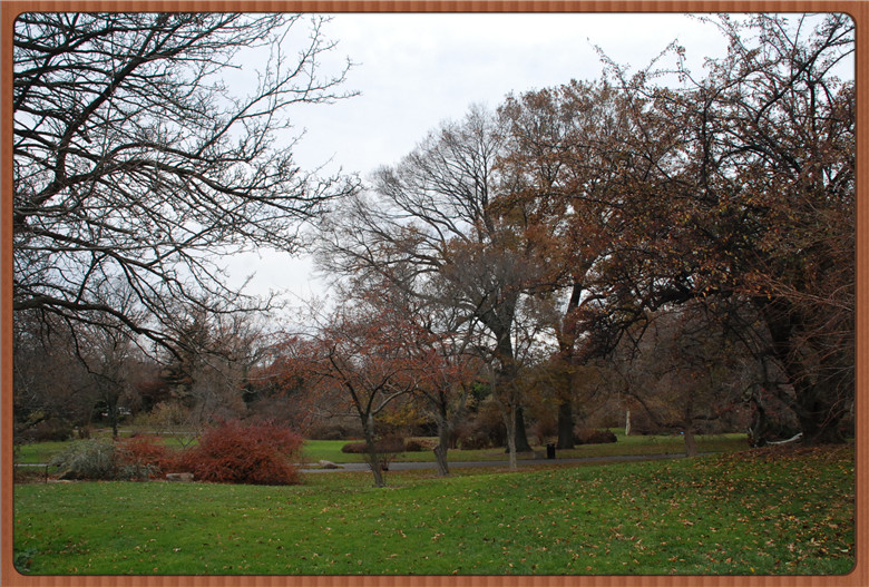 DSC_0007.jpg