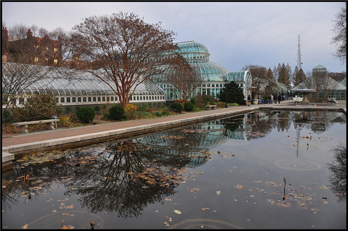 DSC_0026.jpg