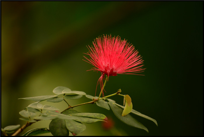 DSC_6723.jpg