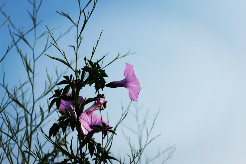 _MG_14162014--8-8-1_.jpg