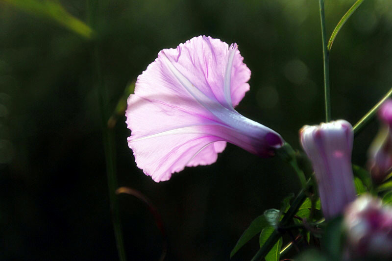 _MG_14342014--8-8-1_.jpg