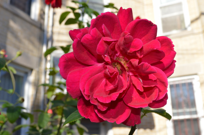 DSC_0066.jpg