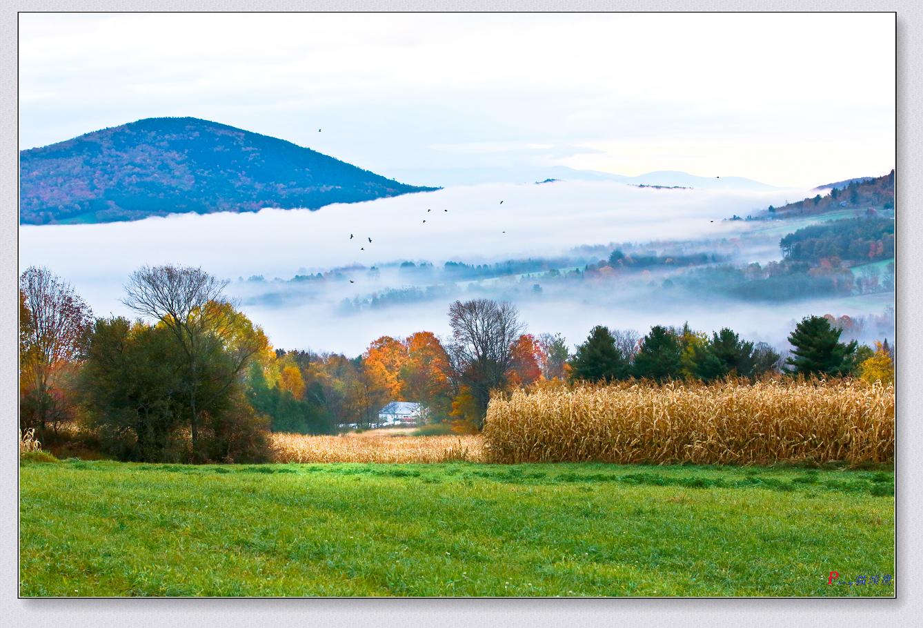 �}�u -10-11-2014�ﾰ-4 530-3.jpg