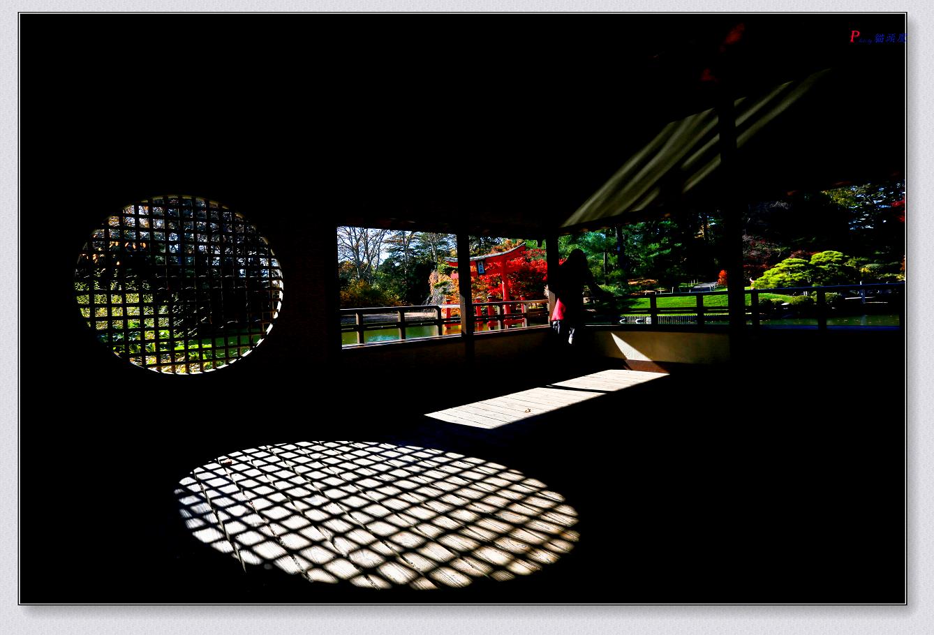 �}�u -11-15-2014��ɫ-2 123-2.jpg