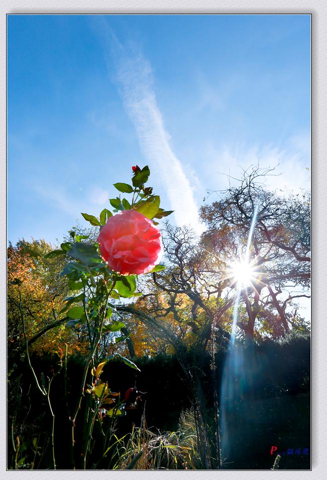 �}�u -11-8-2014��ɫ-1 067-2.jpg