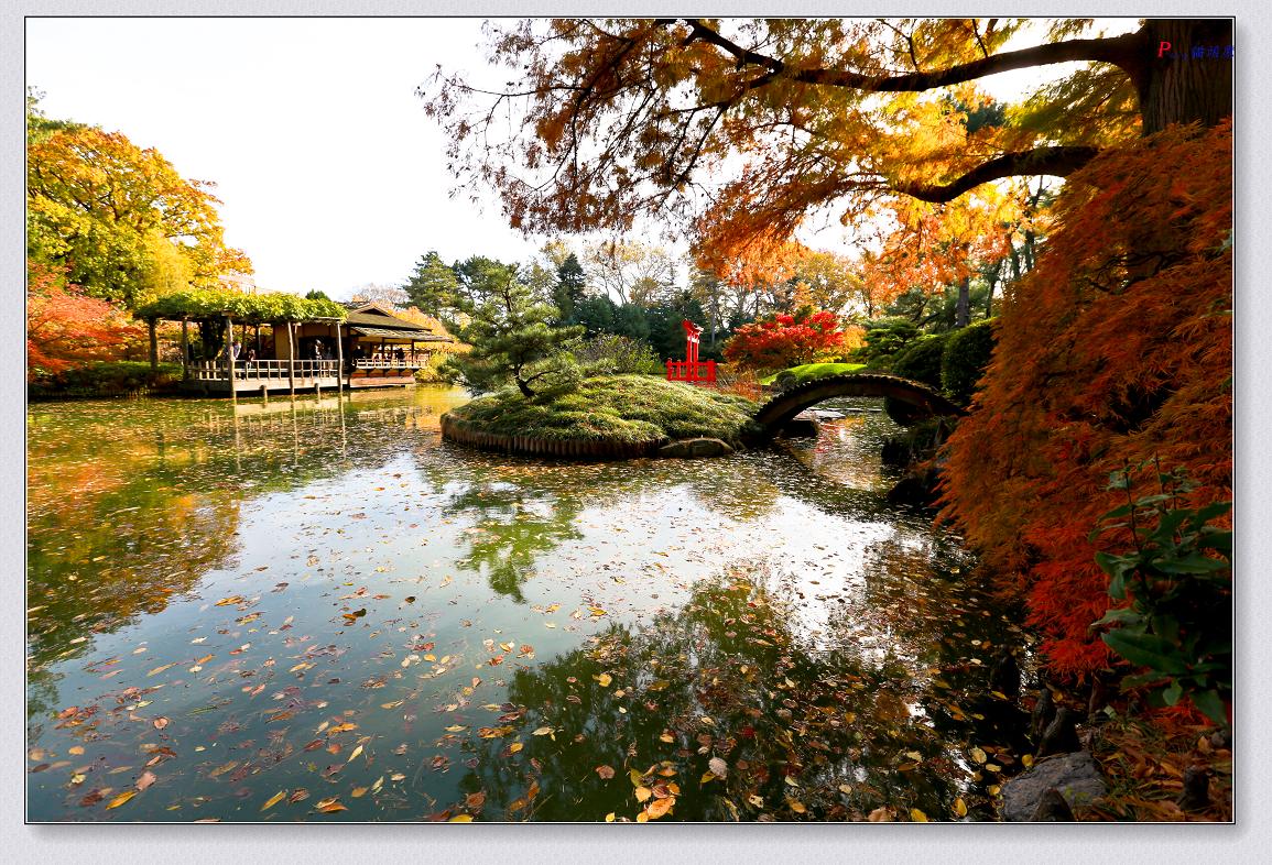 �}�u -11-8-2014��ɫ-1 227-2.jpg