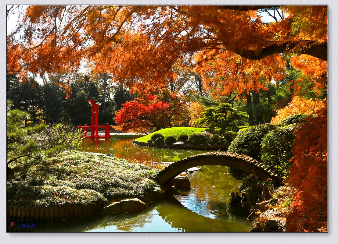 �}�u -11-15-2014��ɫ-2 087-2.jpg