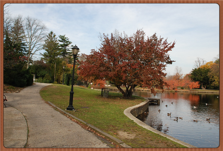 DSC_0126.jpg
