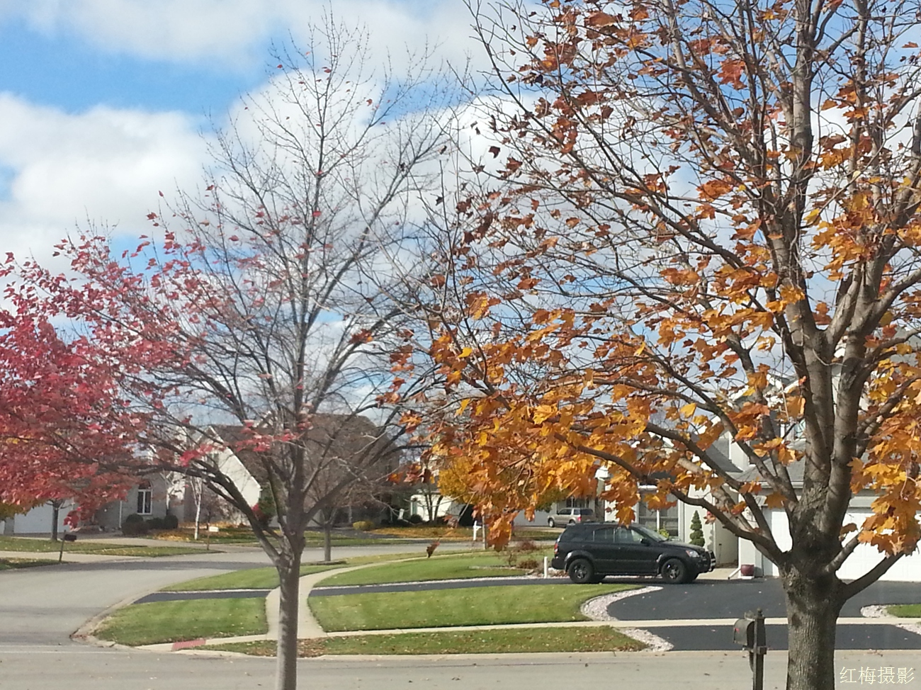 IMG_20141031_104417.jpg