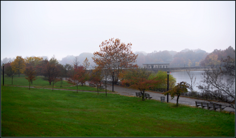 DSC_9336.jpg