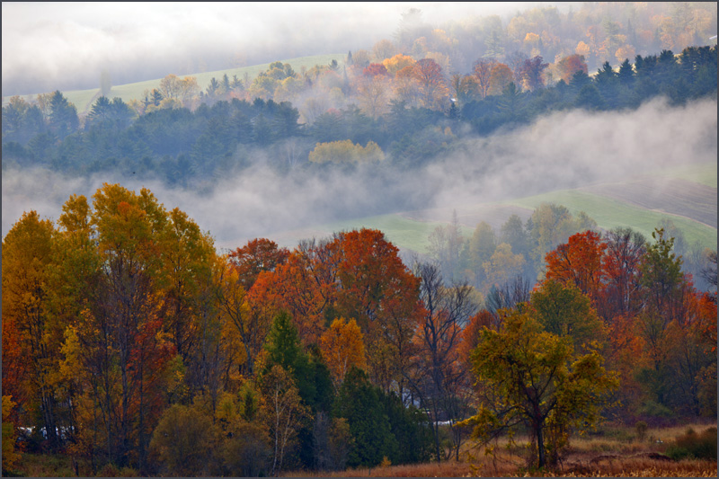 DSC_6177aa.jpg
