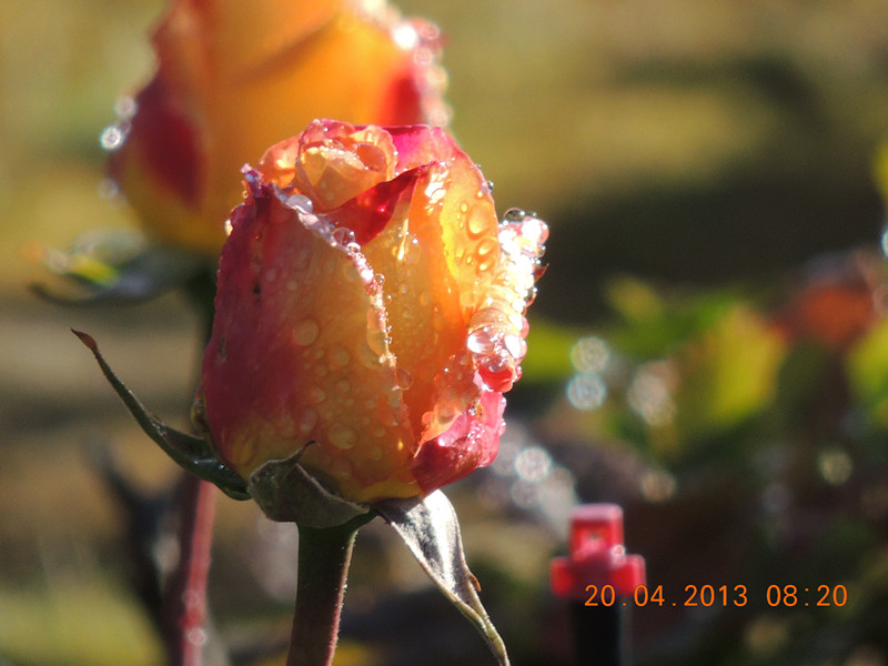 184_35925_ca6d9367bbf1636.jpg