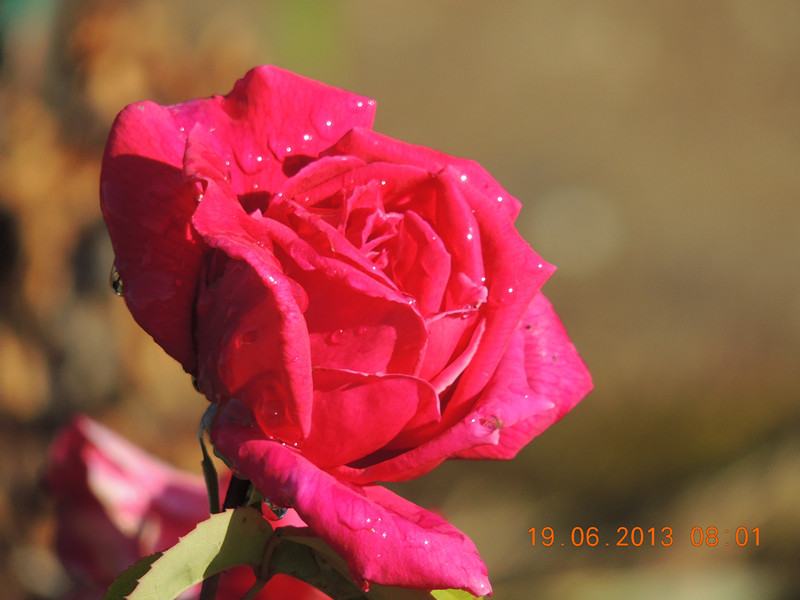 184_35925_28e904848df5bf0.jpg