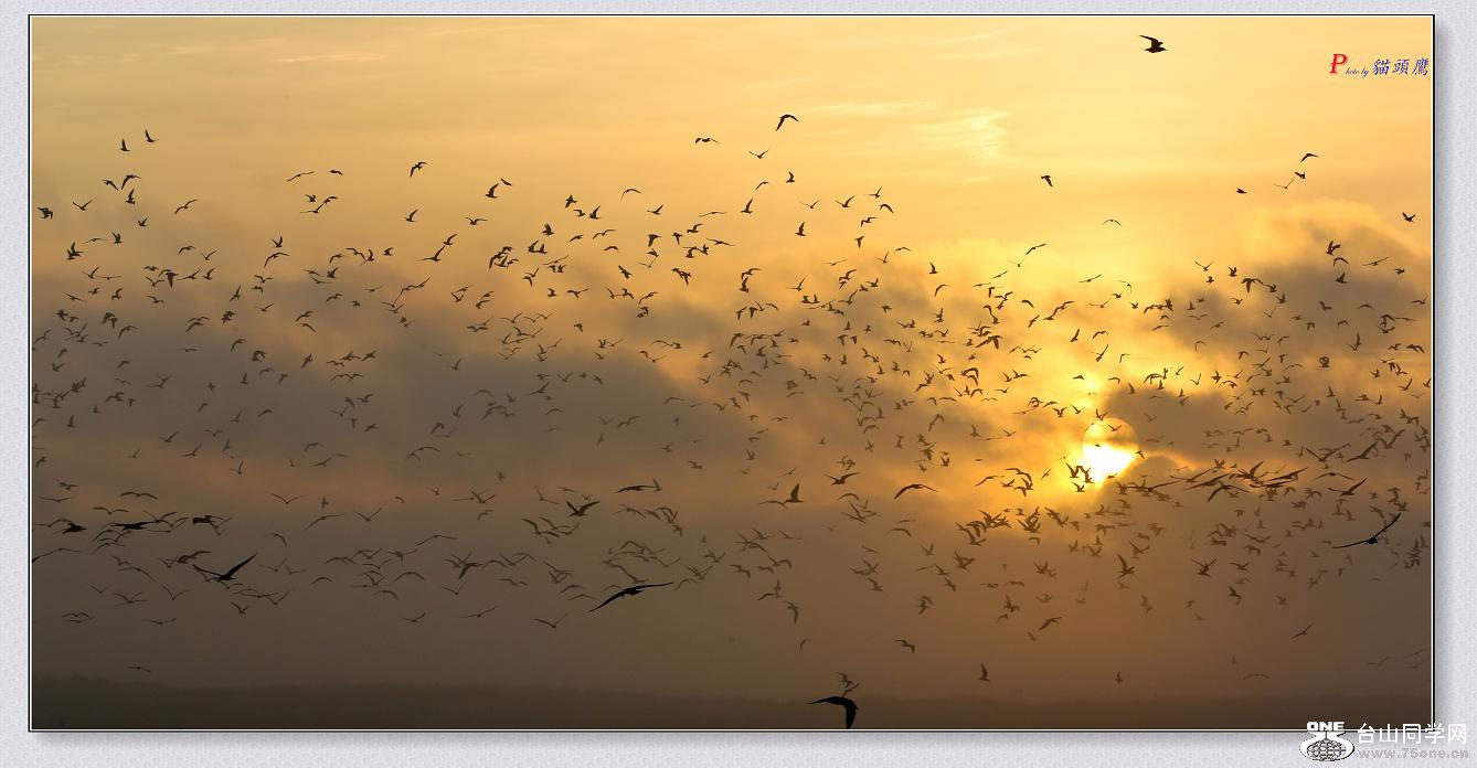 �}�u -0036-1.jpg