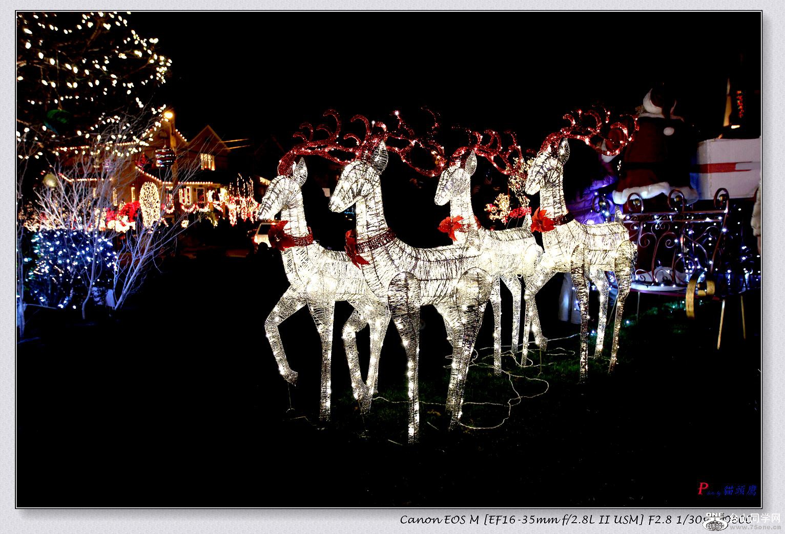 �}�u -IMG_1317-1.jpg