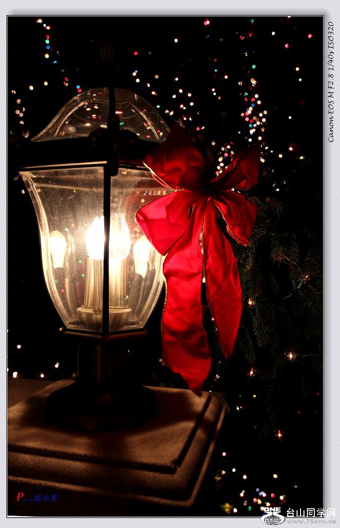 �}�u -IMG_1295-1.jpg