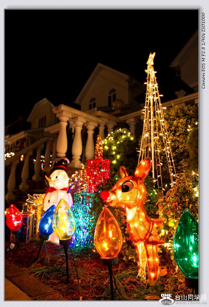 �}�u -IMG_1445-1.jpg