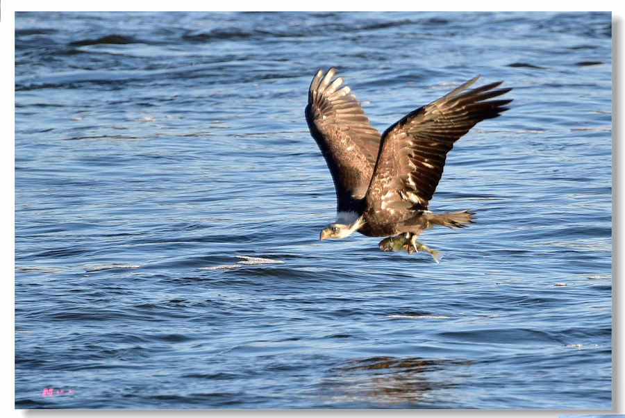 DSC_2772 ����.jpg