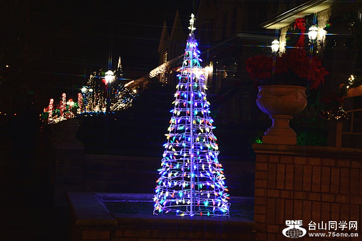 DSC_7100_.jpg