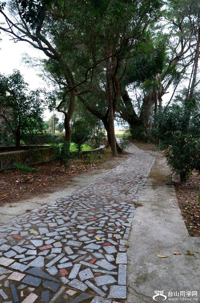 DSC_0590.JPG