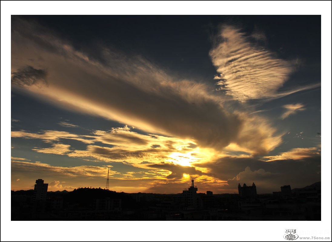 DSC_8995_conew1.jpg