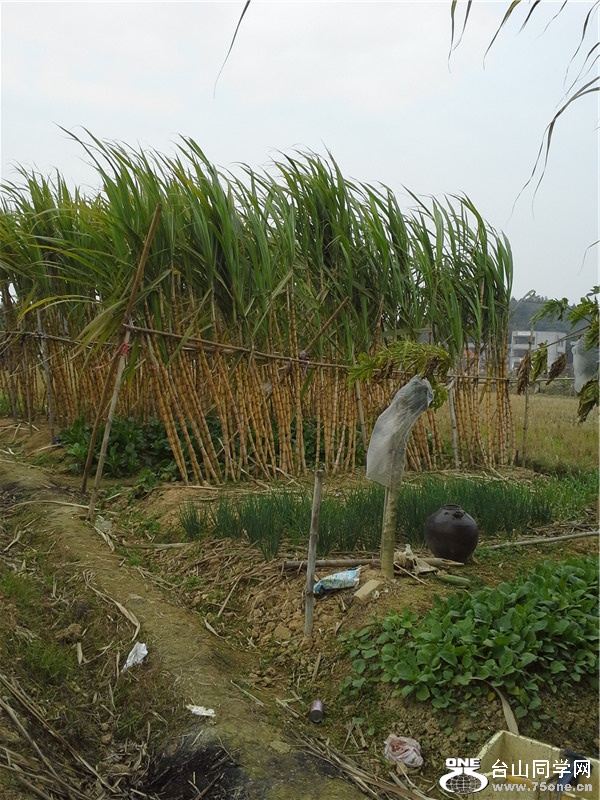 20150111_113817.jpg
