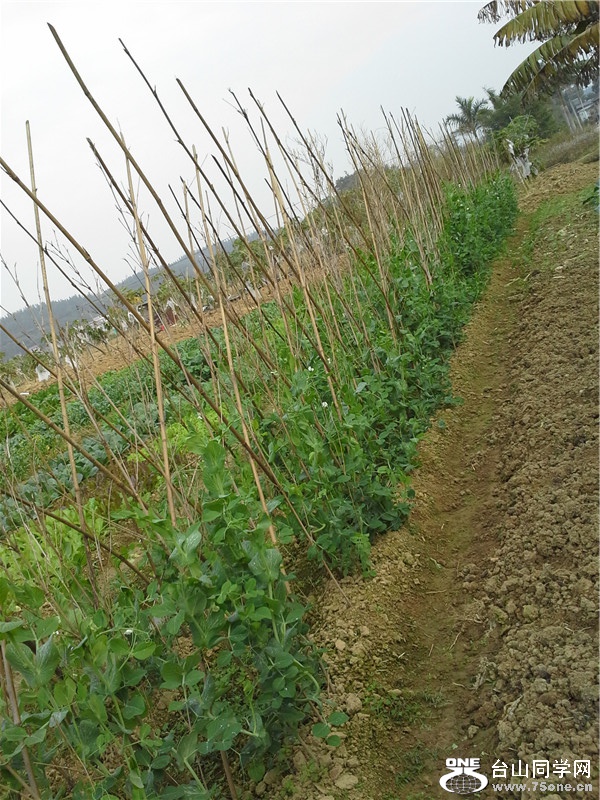 20150111_110117.jpg